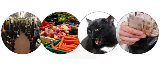 méthodes d'infection par des parasites