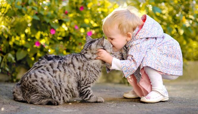 un enfant embrasse un chat et est infecté par des vers