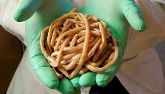 Méthodes d'élimination des parasites du corps